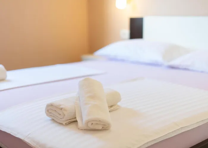 Malbasic 招待所 *