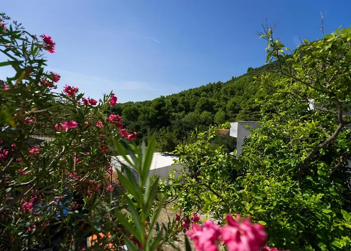 Malbasic * 泽斯特拉格